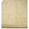 PLYWOOD CCA H3.2 2400x1200x19mm CD Non-Structural Pine 28/P