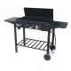 BBQ Delta 4B Flat Solid Plate w/Steel Trolley (800x490)c/s Jumbuck