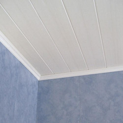 CEILING PVC 200mmx7.5mmx5.8m 2.4kg/2sq Gloss White 10/P